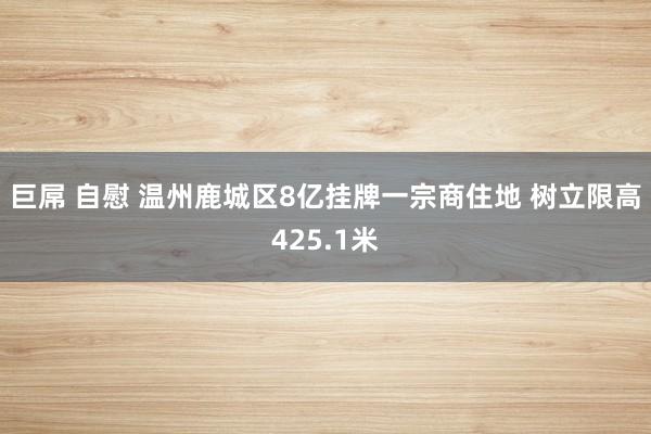 巨屌 自慰 温州鹿城区8亿挂牌一宗商住地 树立限高425.1米