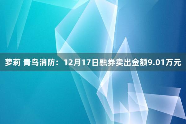 萝莉 青鸟消防：12月17日融券卖出金额9.01万元