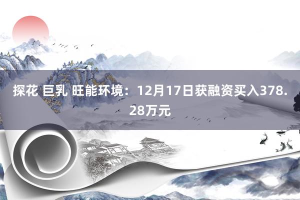 探花 巨乳 旺能环境：12月17日获融资买入378.28万元