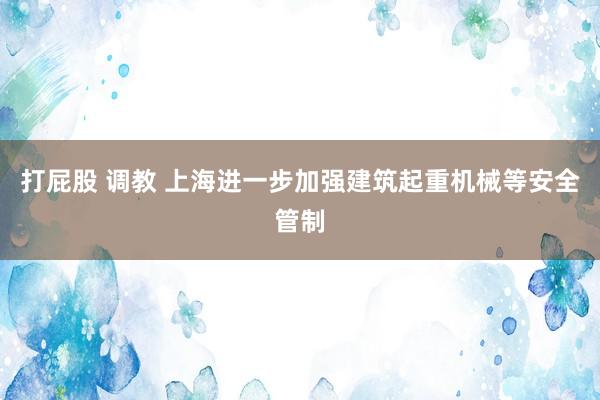 打屁股 调教 上海进一步加强建筑起重机械等安全管制