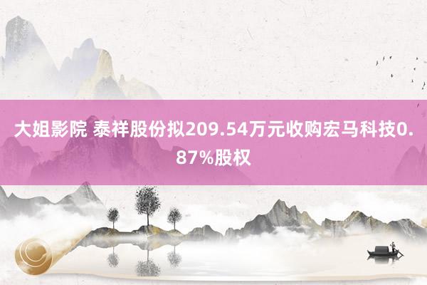 大姐影院 泰祥股份拟209.54万元收购宏马科技0.87%股权