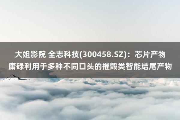 大姐影院 全志科技(300458.SZ)：芯片产物庸碌利用于多种不同口头的摧毁类智能结尾产物