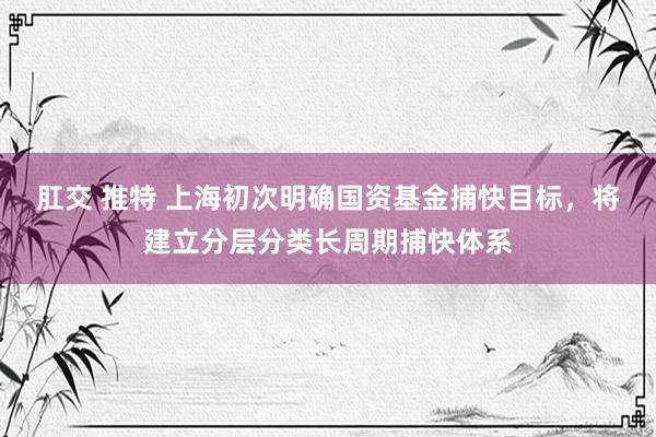 肛交 推特 上海初次明确国资基金捕快目标，将建立分层分类长周期捕快体系