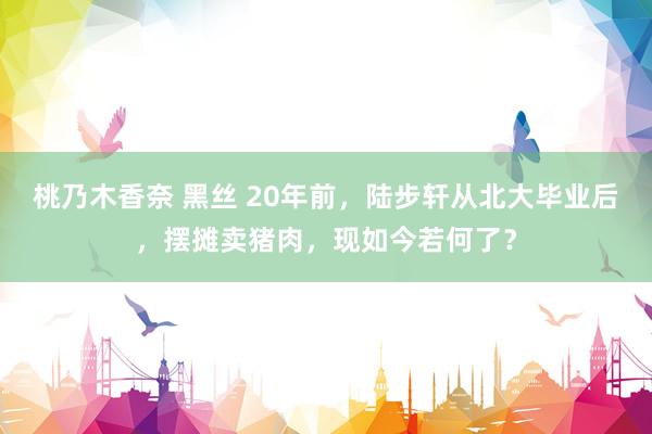 桃乃木香奈 黑丝 20年前，陆步轩从北大毕业后，摆摊卖猪肉，现如今若何了？