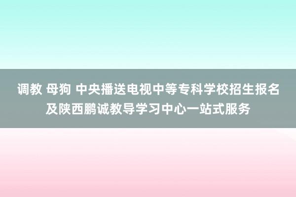 调教 母狗 中央播送电视中等专科学校招生报名及陕西鹏诚教导学习中心一站式服务