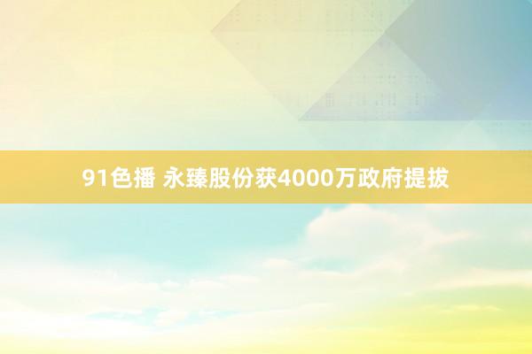 91色播 永臻股份获4000万政府提拔