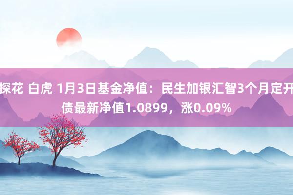 探花 白虎 1月3日基金净值：民生加银汇智3个月定开债最新净值1.0899，涨0.09%