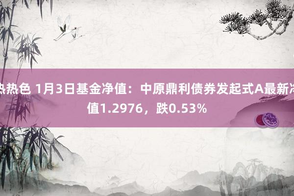 热热色 1月3日基金净值：中原鼎利债券发起式A最新净值1.2976，跌0.53%