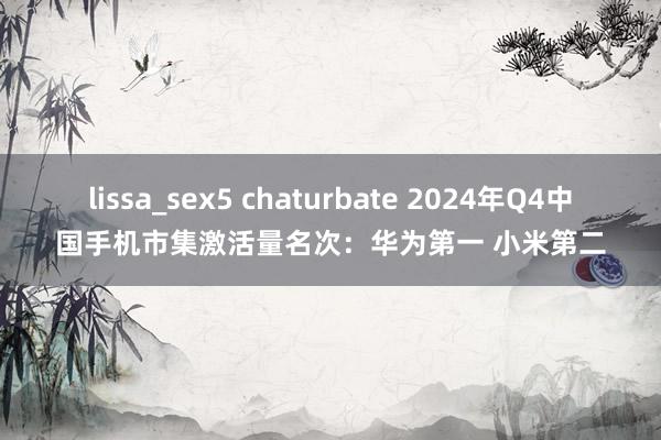 lissa_sex5 chaturbate 2024年Q4中国手机市集激活量名次：华为第一 小米第二