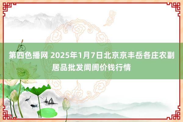 第四色播网 2025年1月7日北京京丰岳各庄农副居品批发阛阓价钱行情