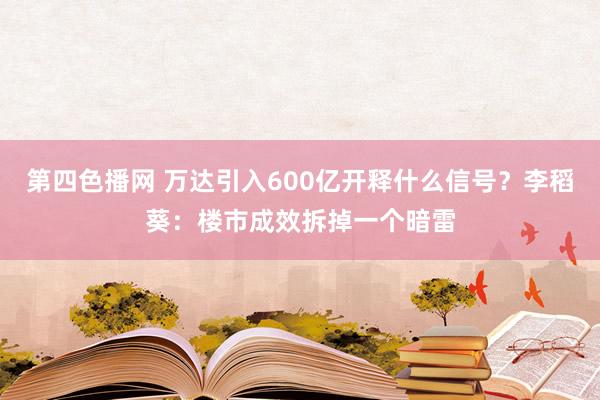 第四色播网 万达引入600亿开释什么信号？李稻葵：楼市成效拆掉一个暗雷