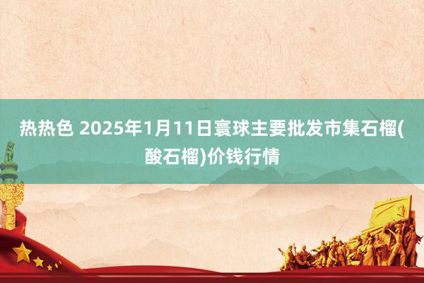 热热色 2025年1月11日寰球主要批发市集石榴(酸石榴)价钱行情