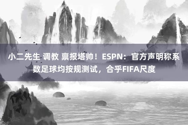 小二先生 调教 禀报塔帅！ESPN：官方声明称系数足球均按规测试，合乎FIFA尺度