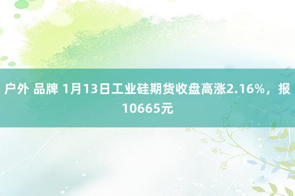 户外 品牌 1月13日工业硅期货收盘高涨2.16%，报10665元