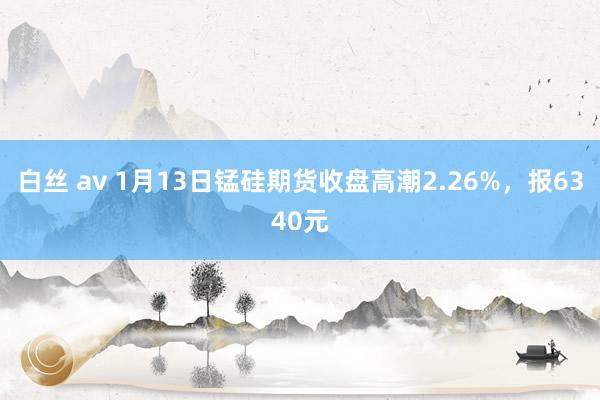 白丝 av 1月13日锰硅期货收盘高潮2.26%，报6340元