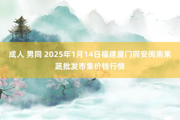 成人 男同 2025年1月14日福建厦门同安闽南果蔬批发市集价钱行情