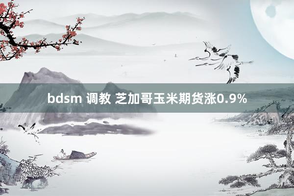 bdsm 调教 芝加哥玉米期货涨0.9%